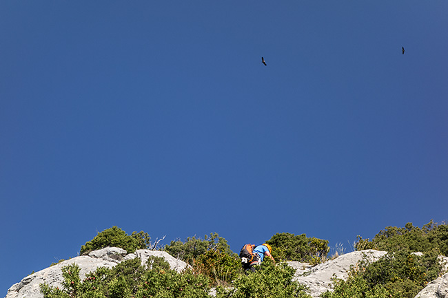 photo montagne alpes escalade grande voie gorges verdon malines lou des garrigues